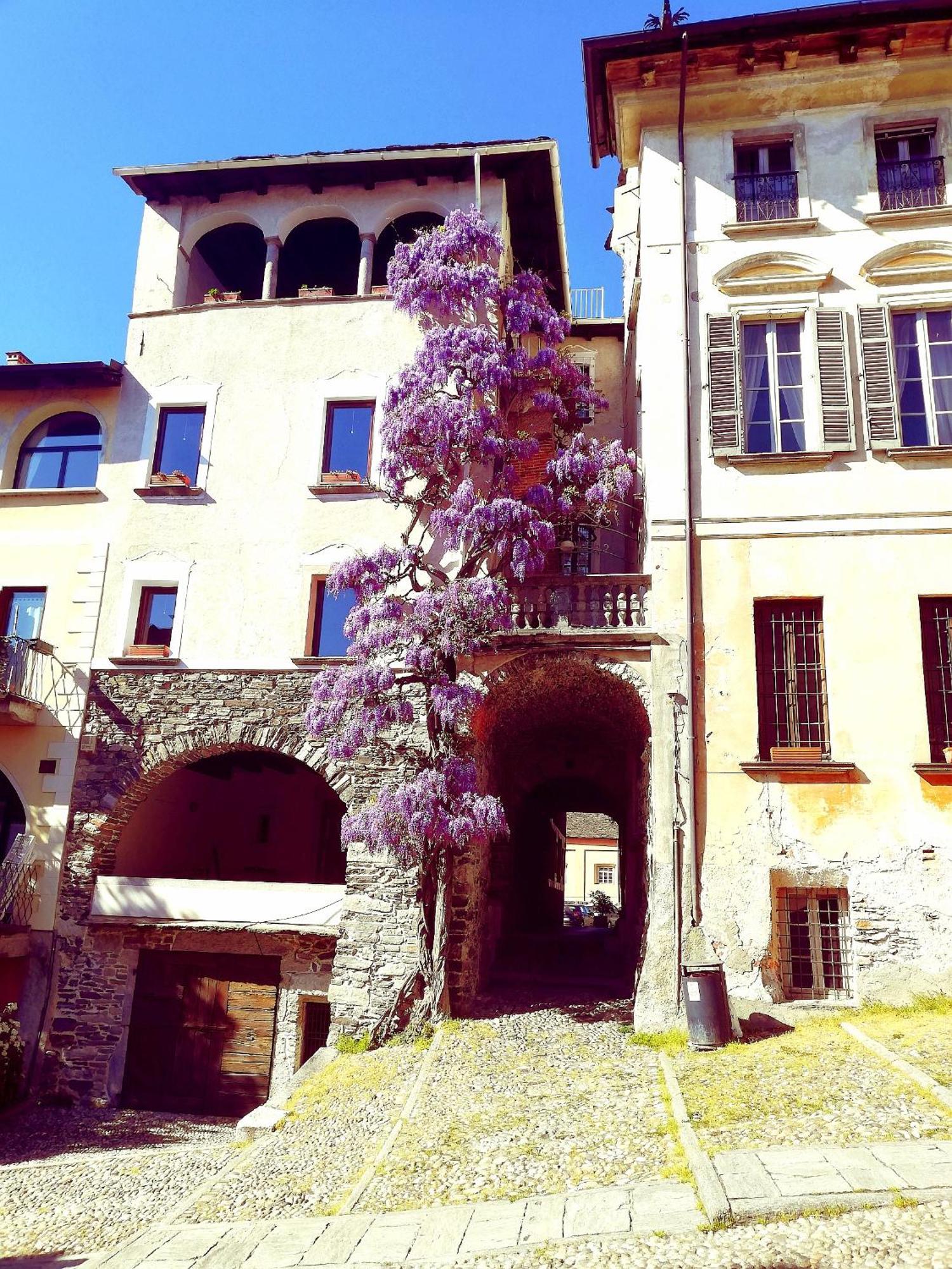 Casa Longhi Apartment Orta San Giulio Luaran gambar